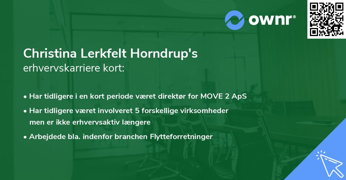 Christina Lerkfelt Horndrup's erhvervskarriere kort