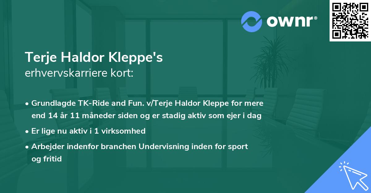 Terje Haldor Kleppe's erhvervskarriere kort