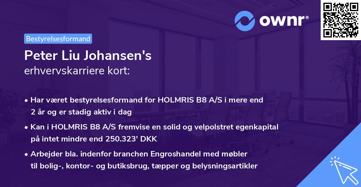Peter Liu Johansen's erhvervskarriere kort