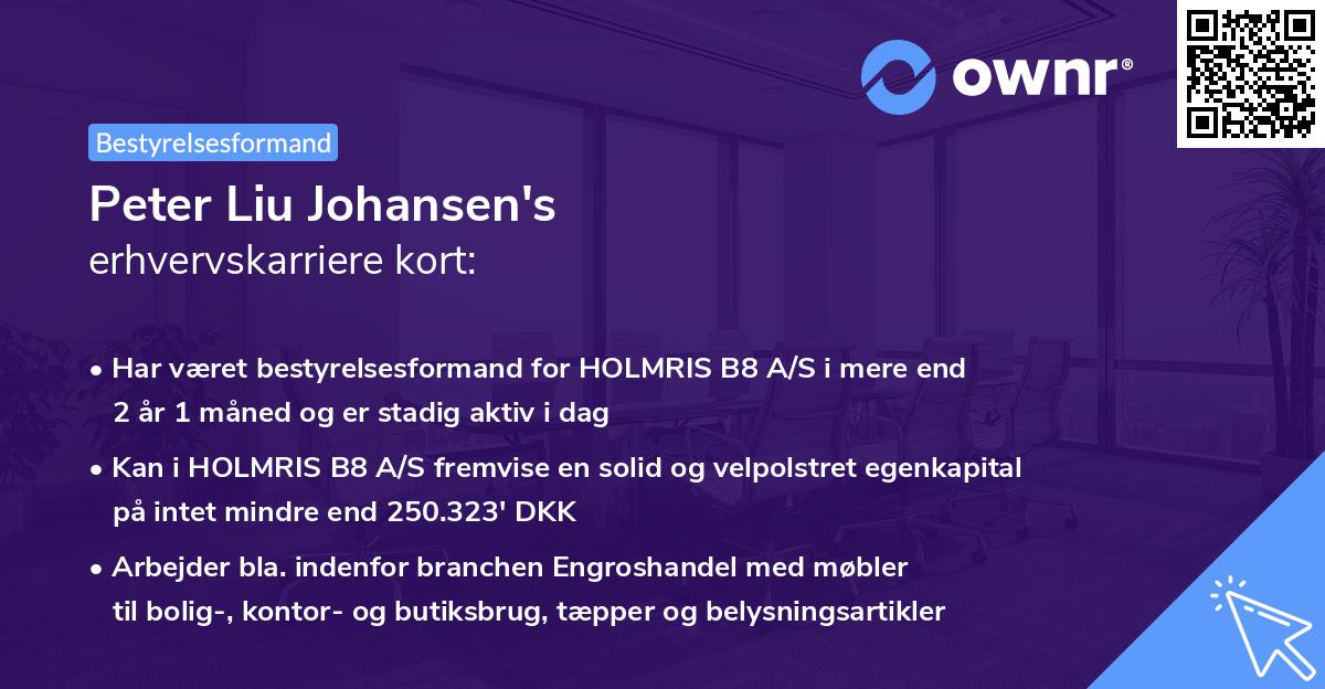 Peter Liu Johansen's erhvervskarriere kort