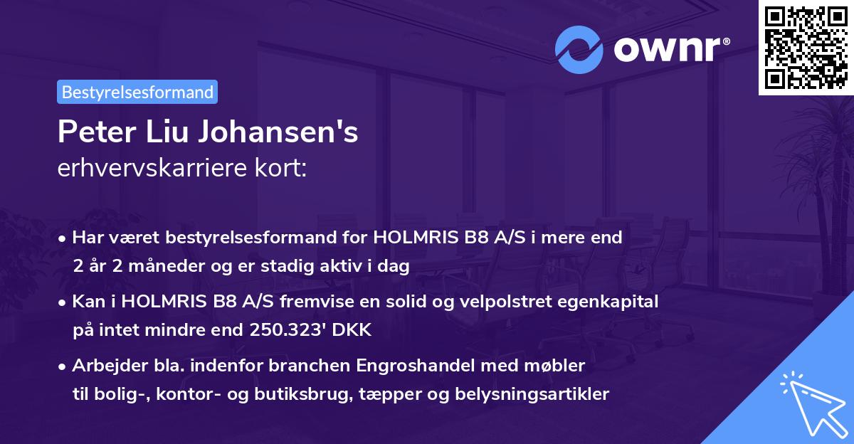 Peter Liu Johansen's erhvervskarriere kort