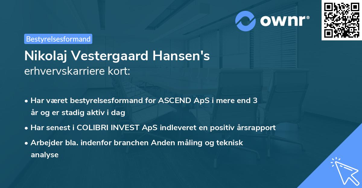 Nikolaj Vestergaard Hansen's erhvervskarriere kort