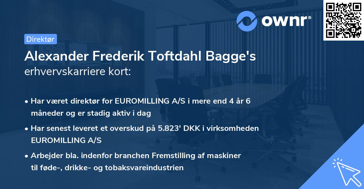 Alexander Frederik Toftdahl Bagge's erhvervskarriere kort