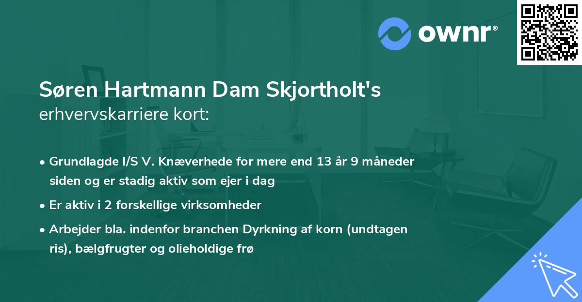 Søren Hartmann Dam Skjortholt's erhvervskarriere kort
