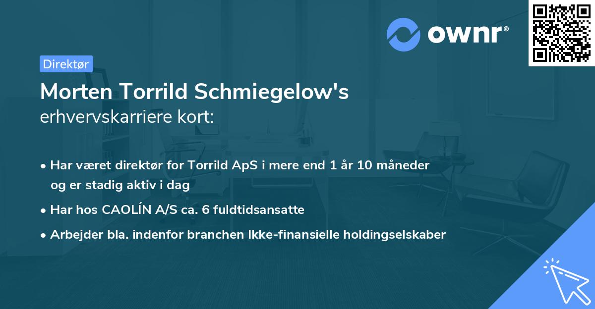 Morten Torrild Schmiegelow's erhvervskarriere kort