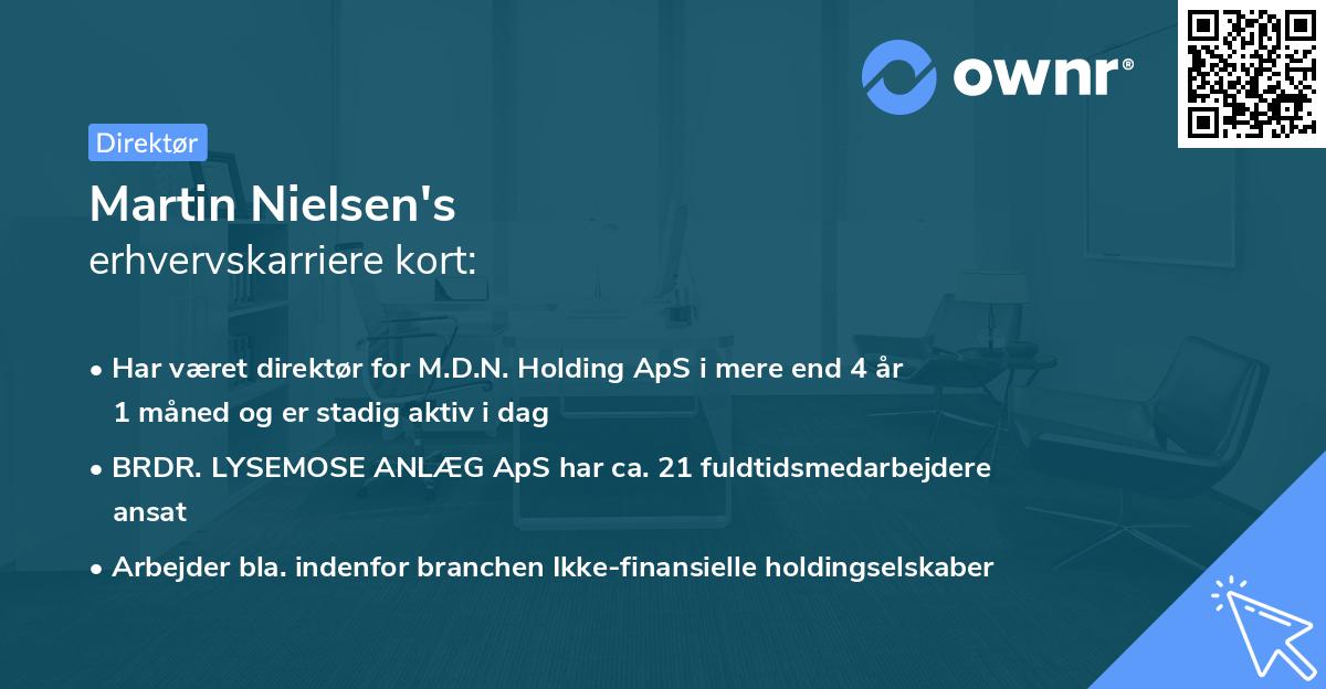 Martin Nielsen's erhvervskarriere kort