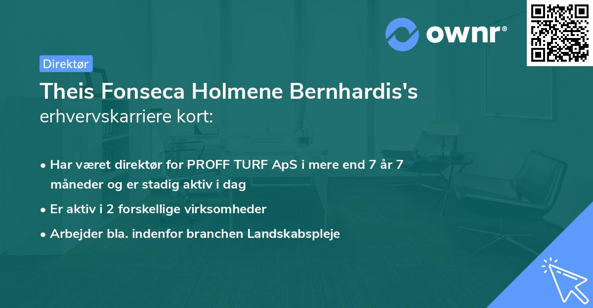 Theis Fonseca Holmene Bernhardis's erhvervskarriere kort