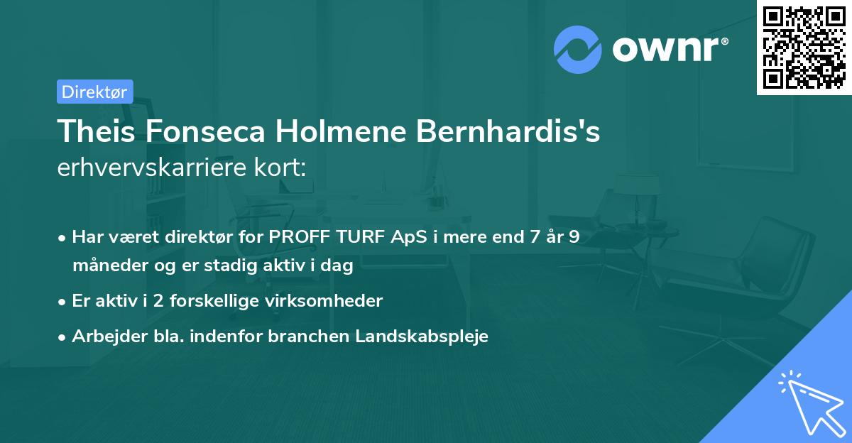 Theis Fonseca Holmene Bernhardis's erhvervskarriere kort