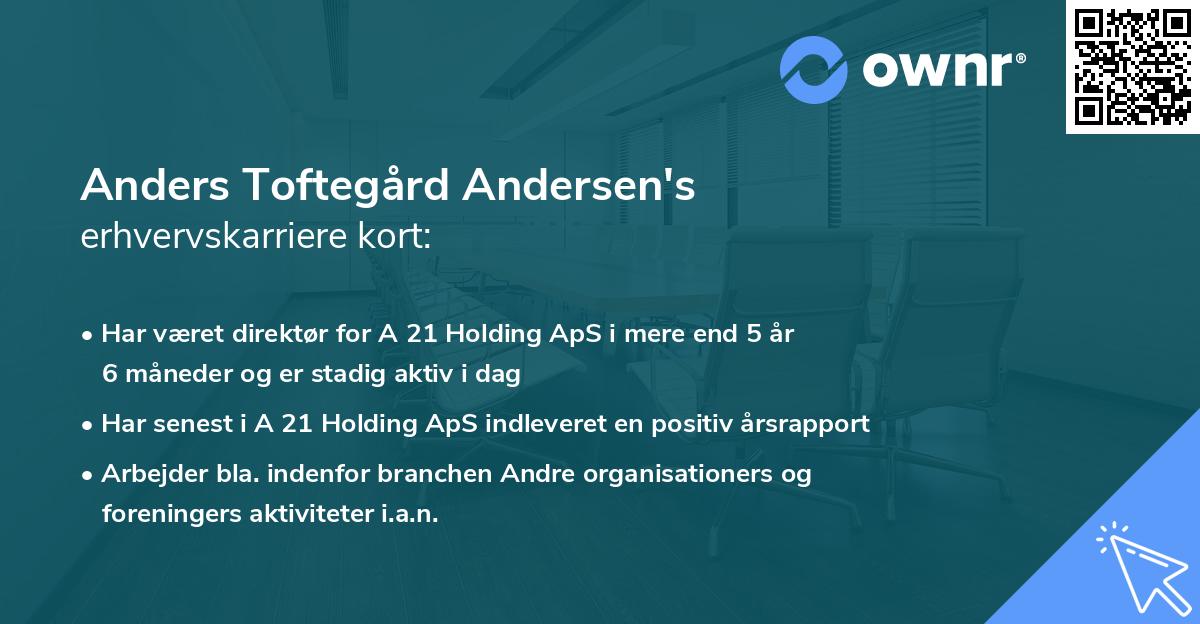 Anders Toftegård Andersen's erhvervskarriere kort