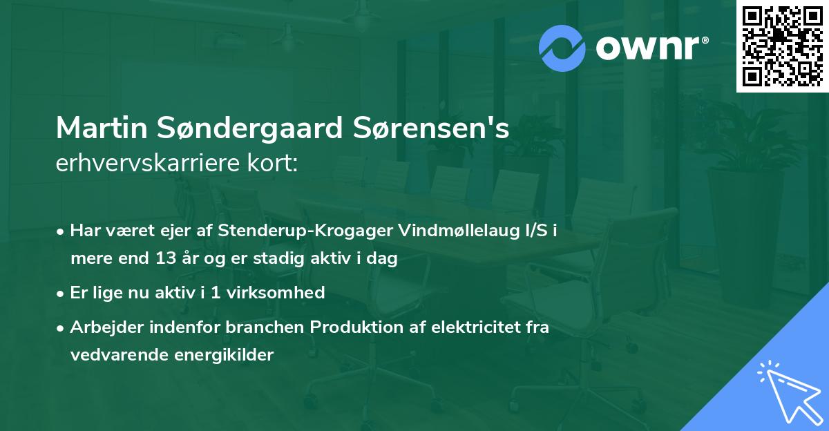 Martin Søndergaard Sørensen's erhvervskarriere kort