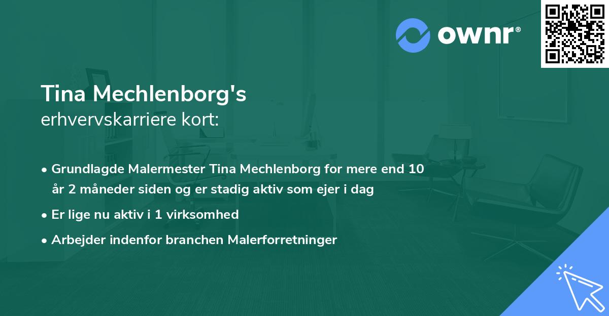 Tina Mechlenborg's erhvervskarriere kort