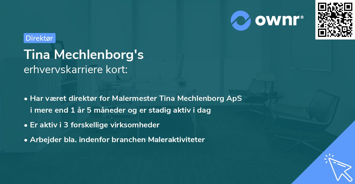 Tina Mechlenborg's erhvervskarriere kort
