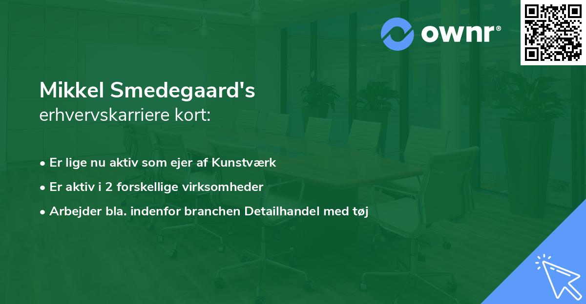 Mikkel Smedegaard's erhvervskarriere kort