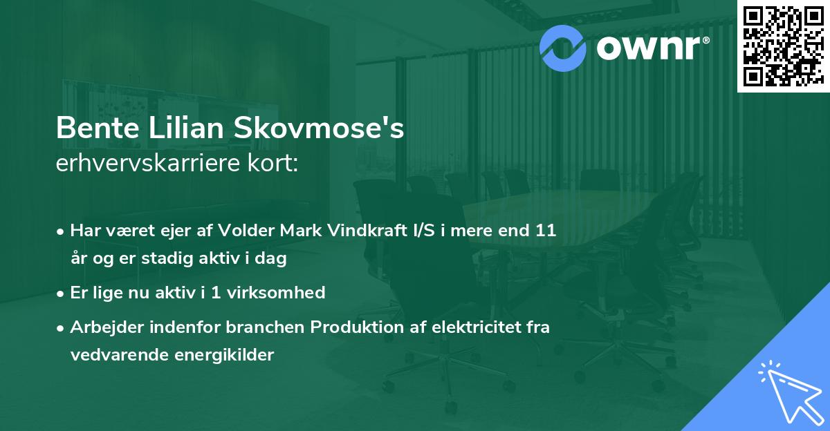 Bente Lilian Skovmose's erhvervskarriere kort