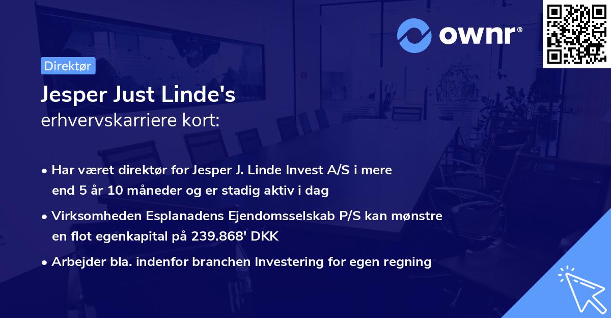 Jesper Just Linde's erhvervskarriere kort
