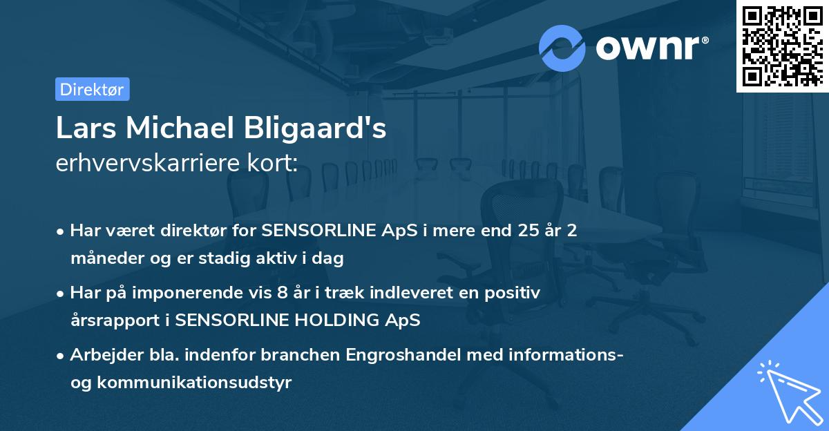 Lars Michael Bligaard's erhvervskarriere kort