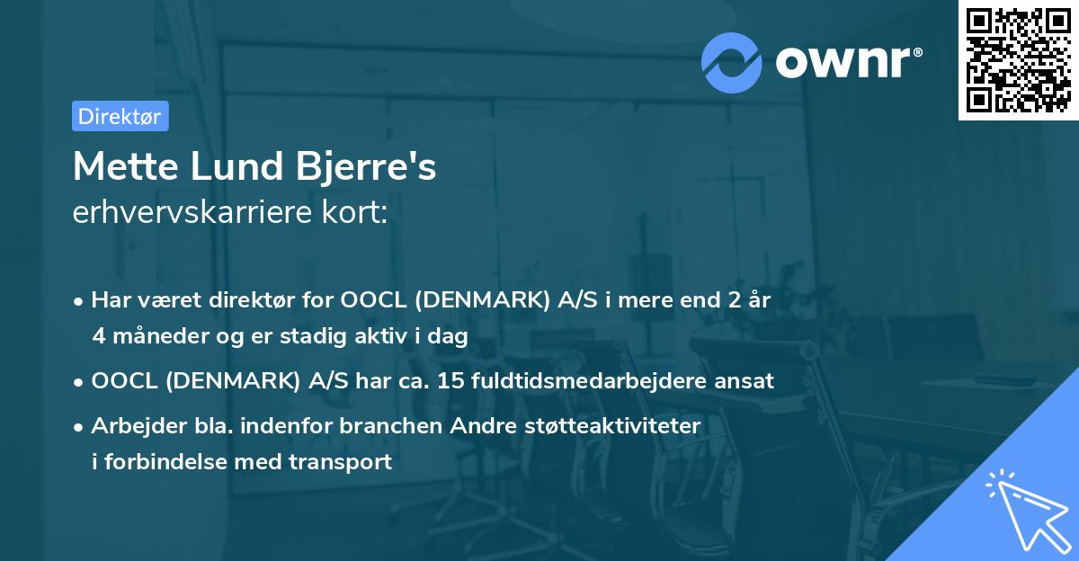 Mette Lund Bjerre's erhvervskarriere kort