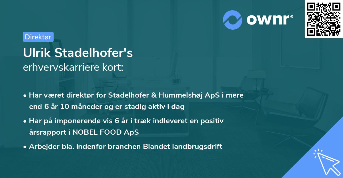 Ulrik Stadelhofer's erhvervskarriere kort