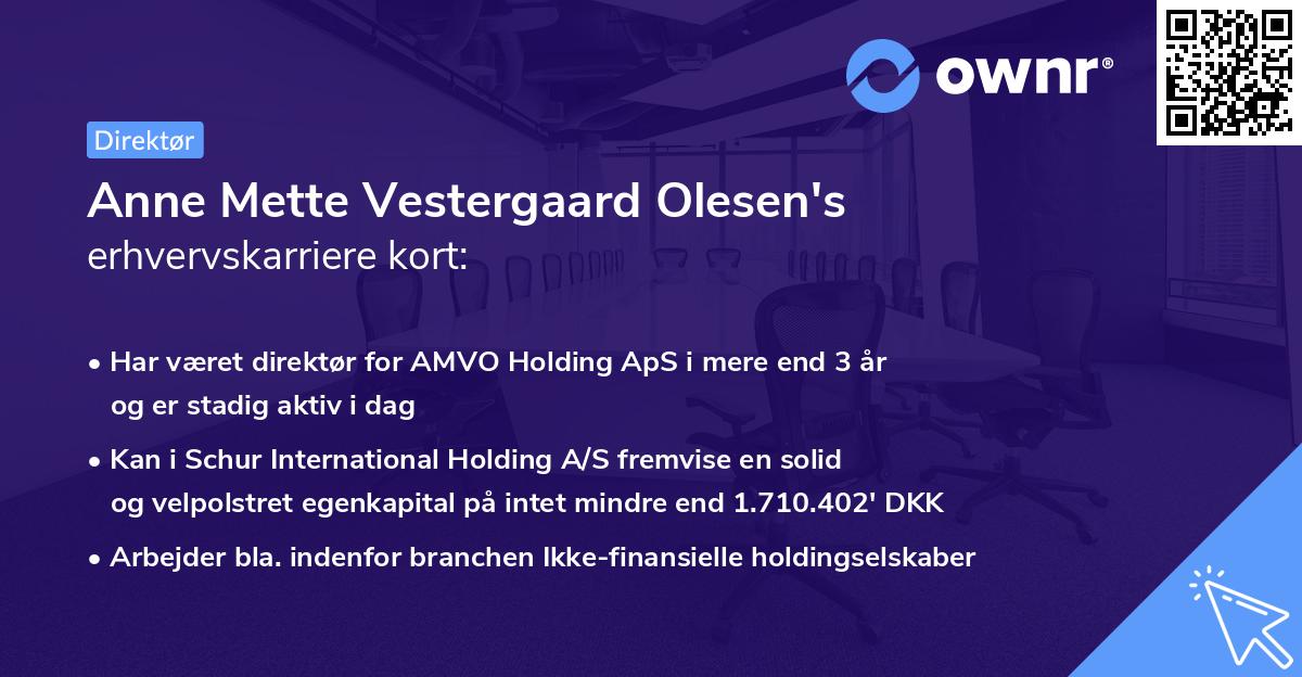 Anne Mette Vestergaard Olesen's erhvervskarriere kort