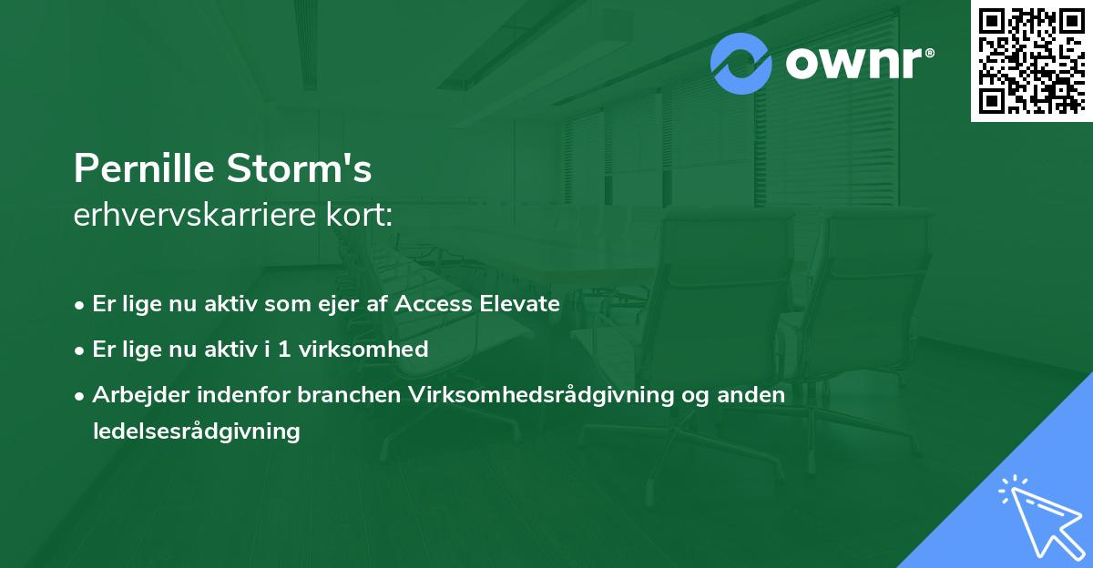 Pernille Storm's erhvervskarriere kort