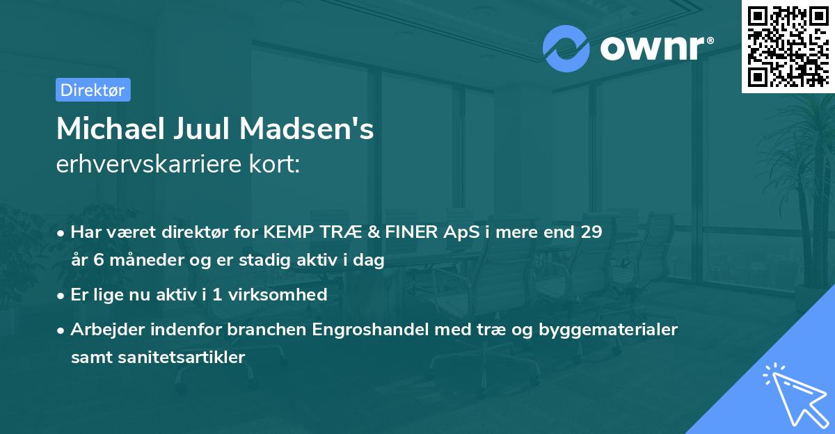 Michael Juul Madsen's erhvervskarriere kort