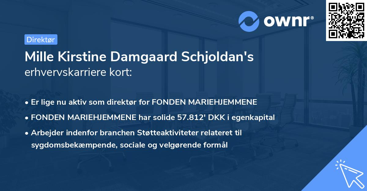 Mille Kirstine Damgaard Schjoldan's erhvervskarriere kort
