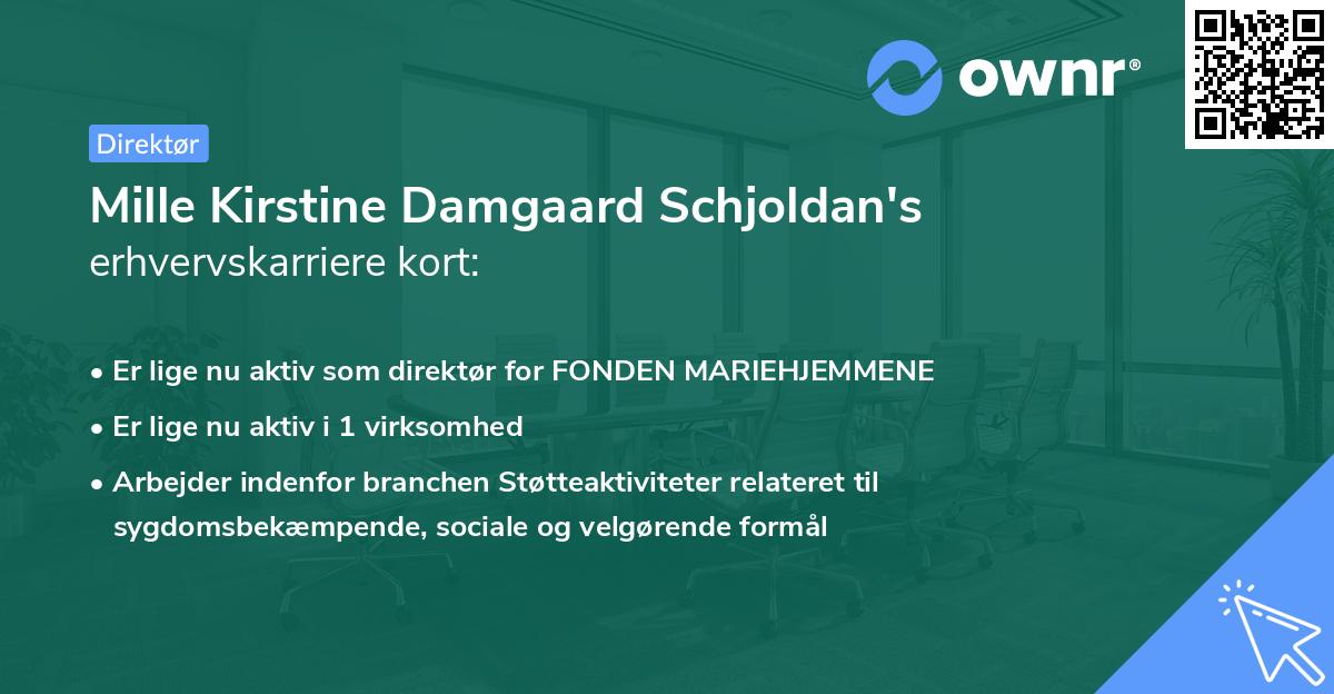 Mille Kirstine Damgaard Schjoldan's erhvervskarriere kort