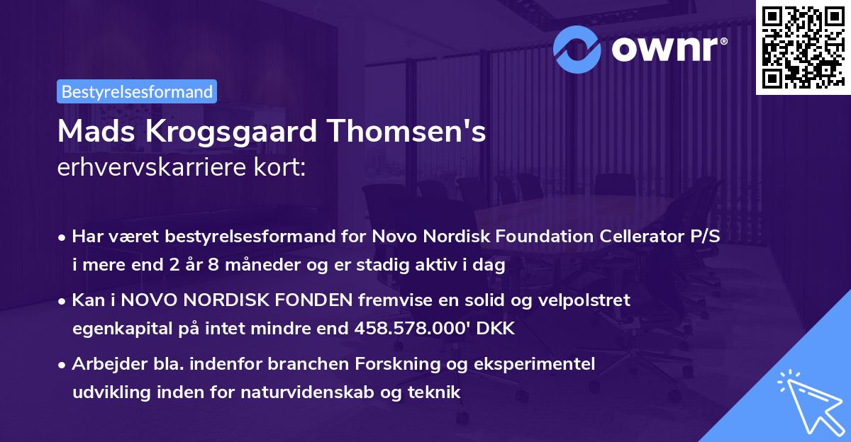 Mads Krogsgaard Thomsen's erhvervskarriere kort
