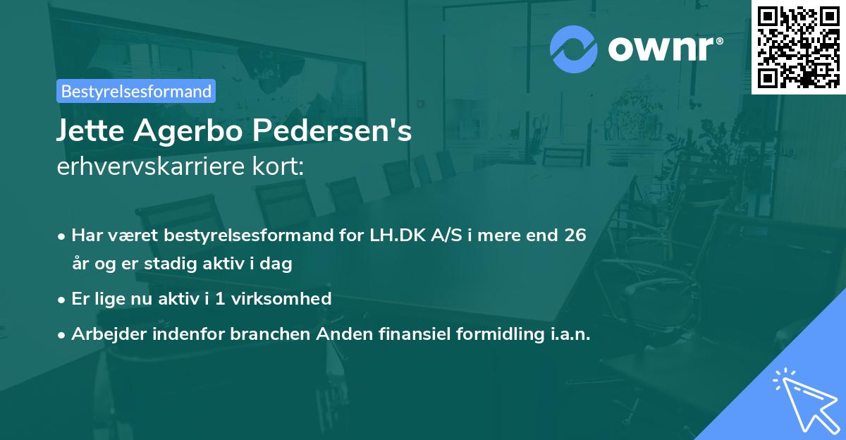 Jette Agerbo Pedersen's erhvervskarriere kort