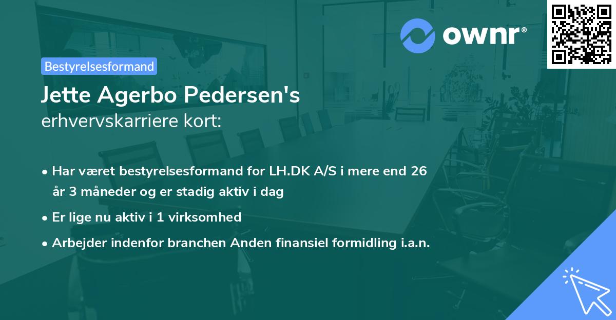 Jette Agerbo Pedersen's erhvervskarriere kort