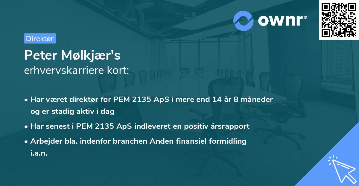 Peter Mølkjær's erhvervskarriere kort