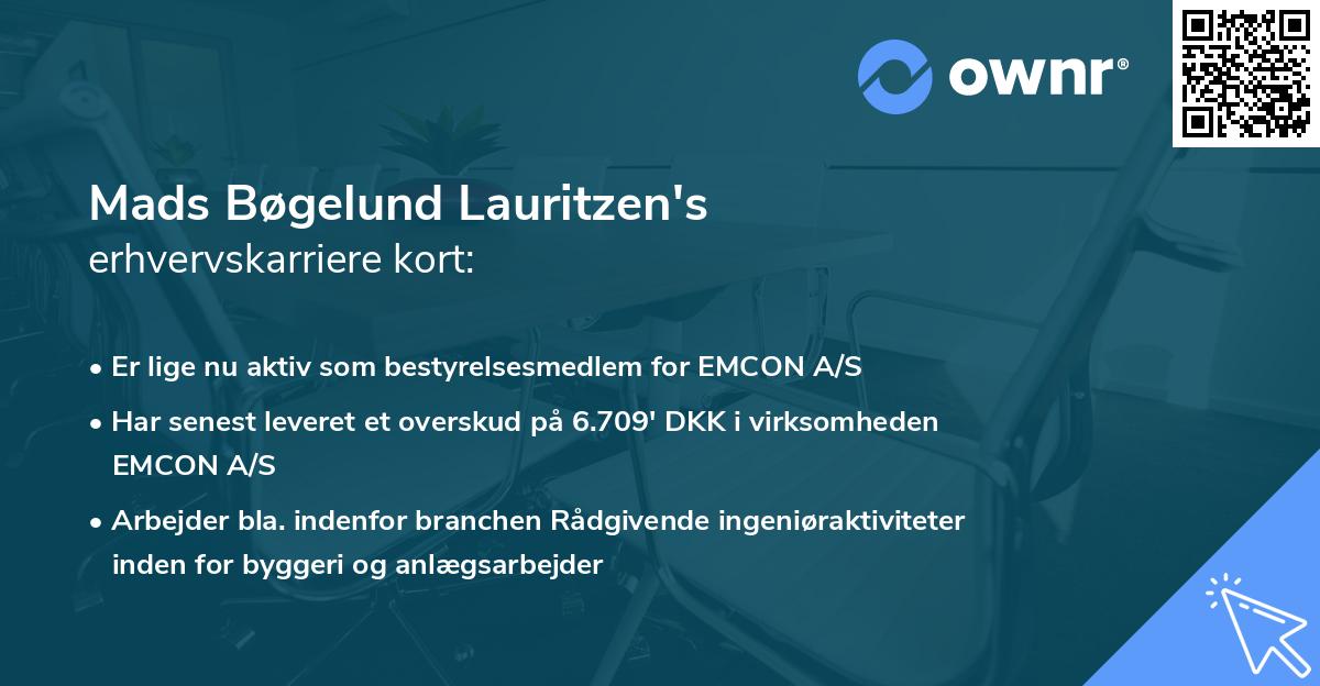 Mads Bøgelund Lauritzen's erhvervskarriere kort