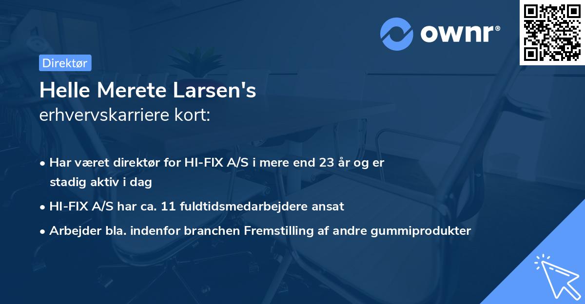 Helle Merete Larsen's erhvervskarriere kort