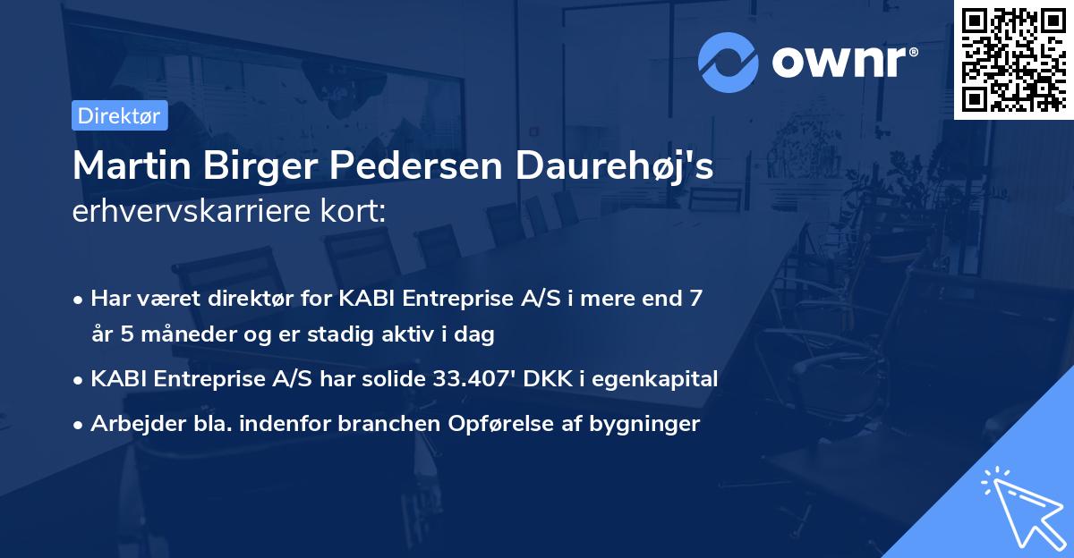 Martin Birger Pedersen Daurehøj's erhvervskarriere kort