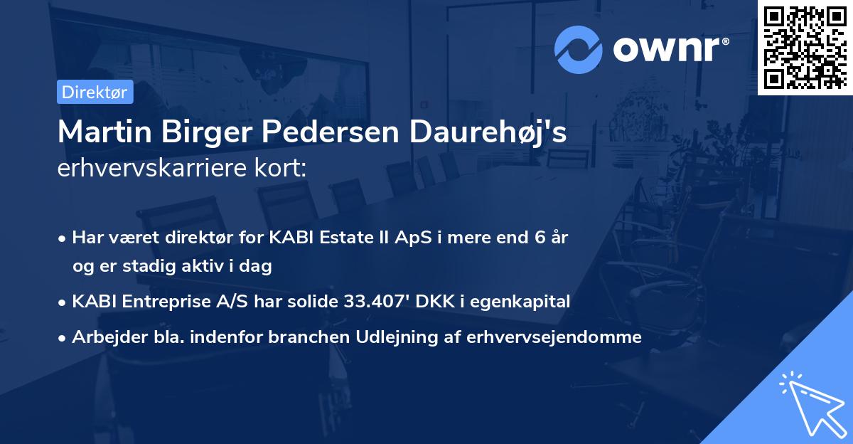 Martin Birger Pedersen Daurehøj's erhvervskarriere kort