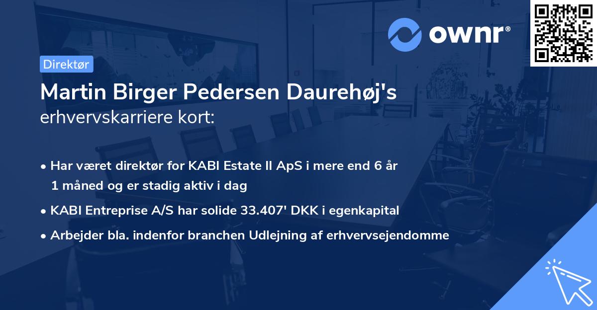 Martin Birger Pedersen Daurehøj's erhvervskarriere kort