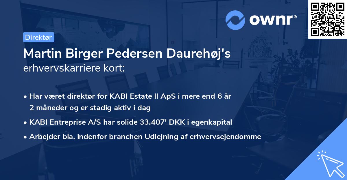 Martin Birger Pedersen Daurehøj's erhvervskarriere kort