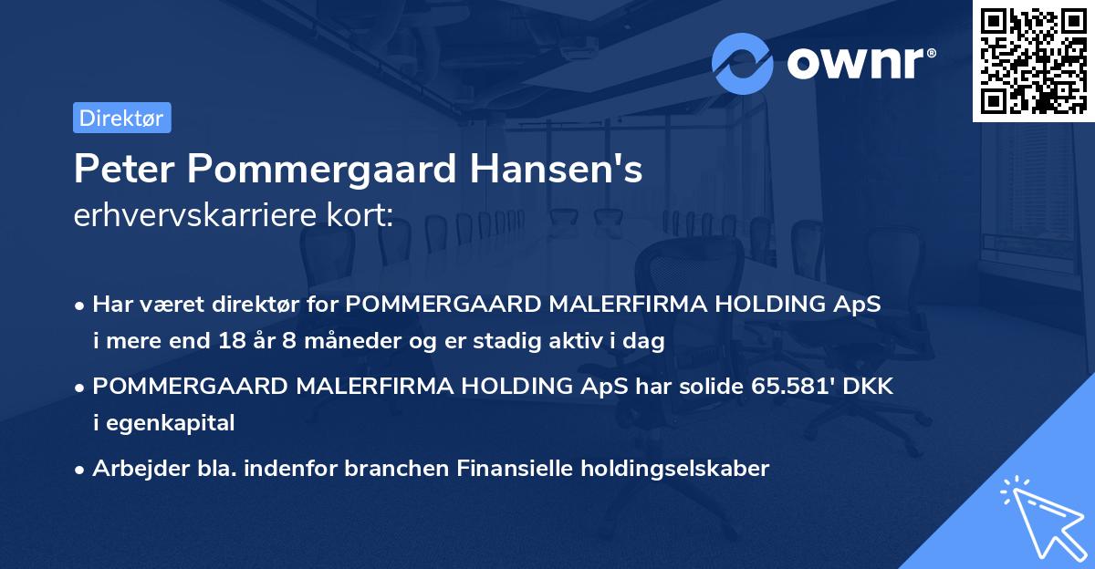 Peter Pommergaard Hansen's erhvervskarriere kort