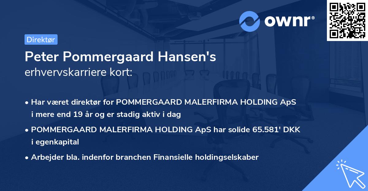 Peter Pommergaard Hansen's erhvervskarriere kort