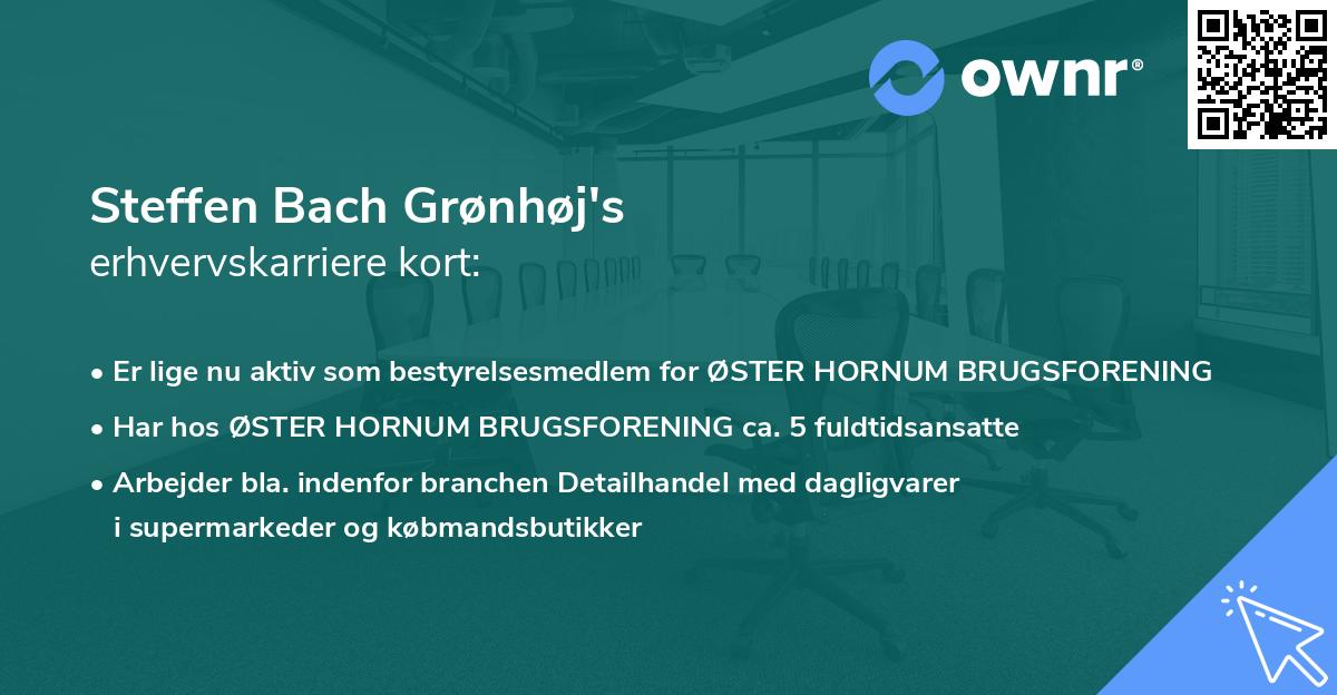 Steffen Bach Grønhøj's erhvervskarriere kort