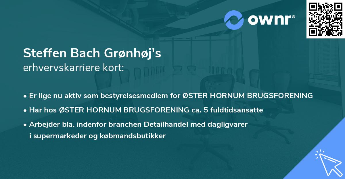 Steffen Bach Grønhøj's erhvervskarriere kort
