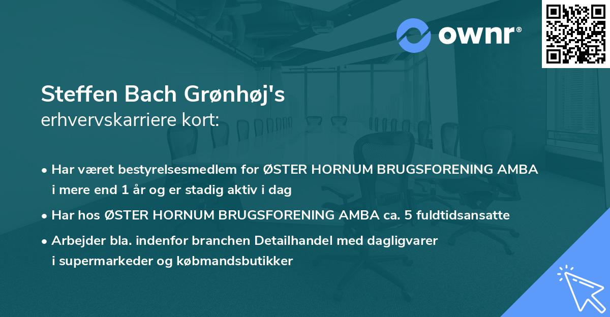 Steffen Bach Grønhøj's erhvervskarriere kort