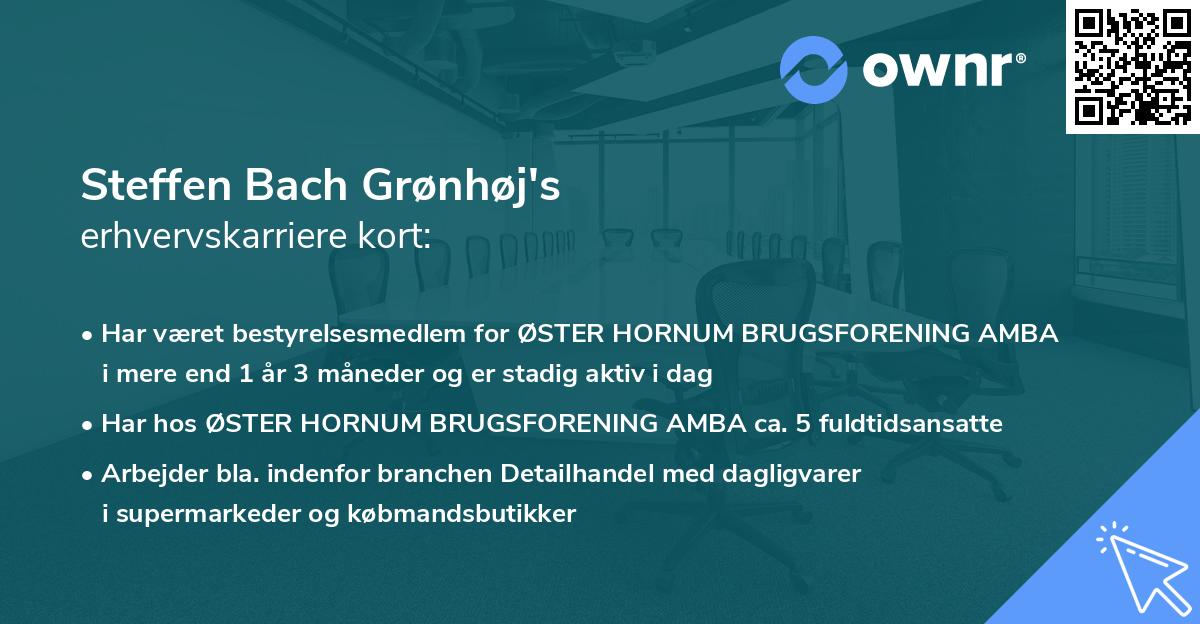 Steffen Bach Grønhøj's erhvervskarriere kort