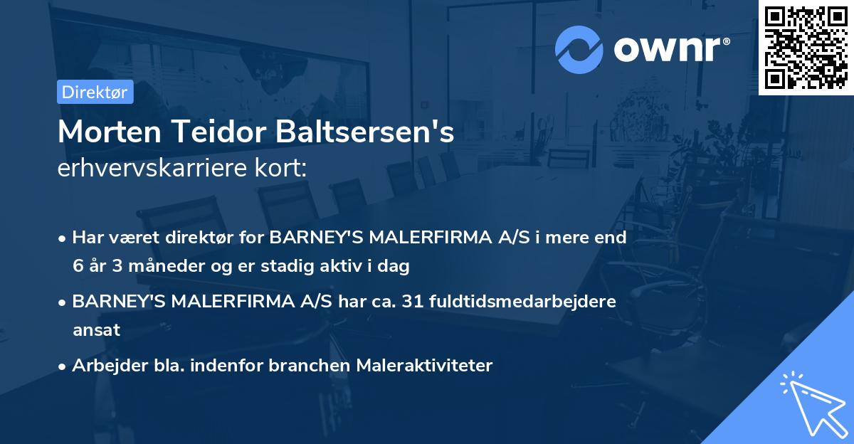 Morten Teidor Baltsersen's erhvervskarriere kort