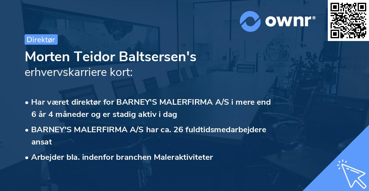 Morten Teidor Baltsersen's erhvervskarriere kort
