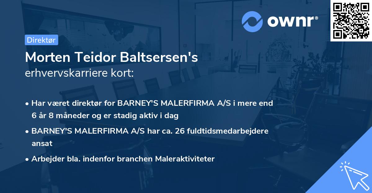 Morten Teidor Baltsersen's erhvervskarriere kort