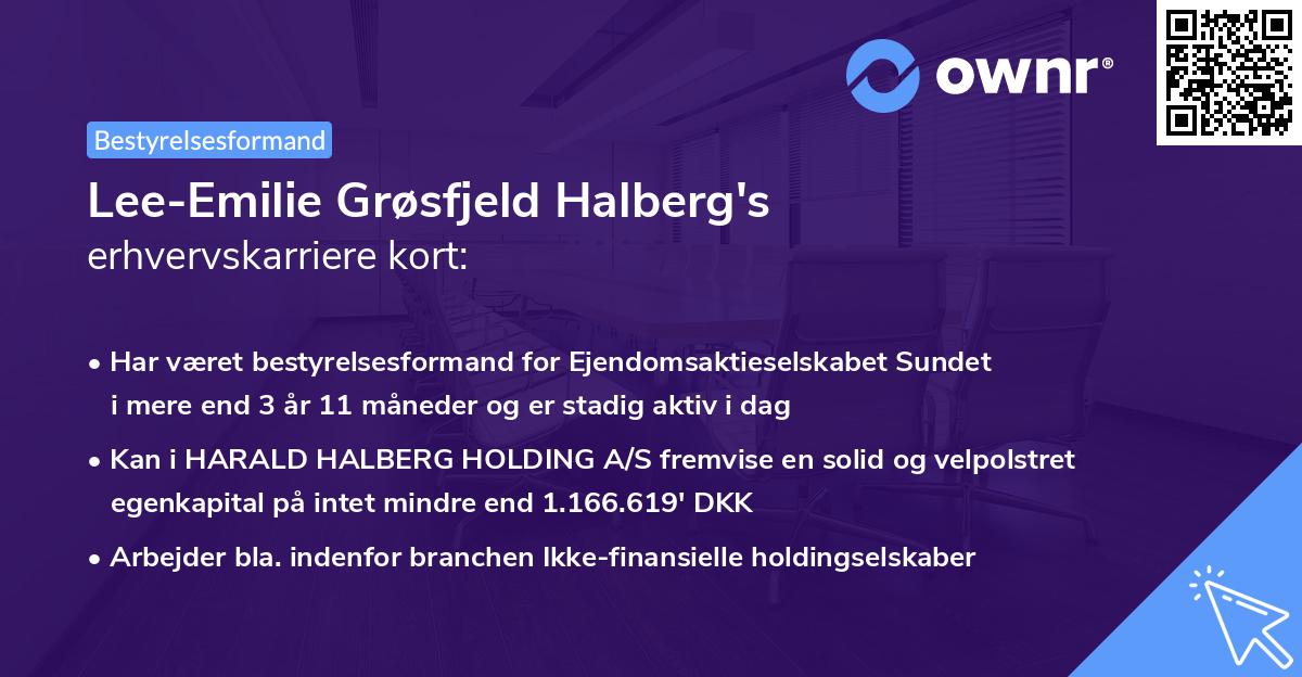 Lee-Emilie Grøsfjeld Halberg's erhvervskarriere kort