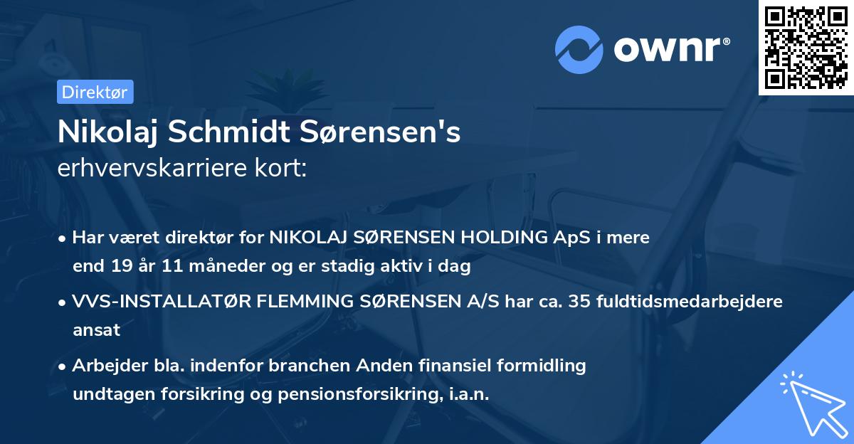 Nikolaj Schmidt Sørensen's erhvervskarriere kort