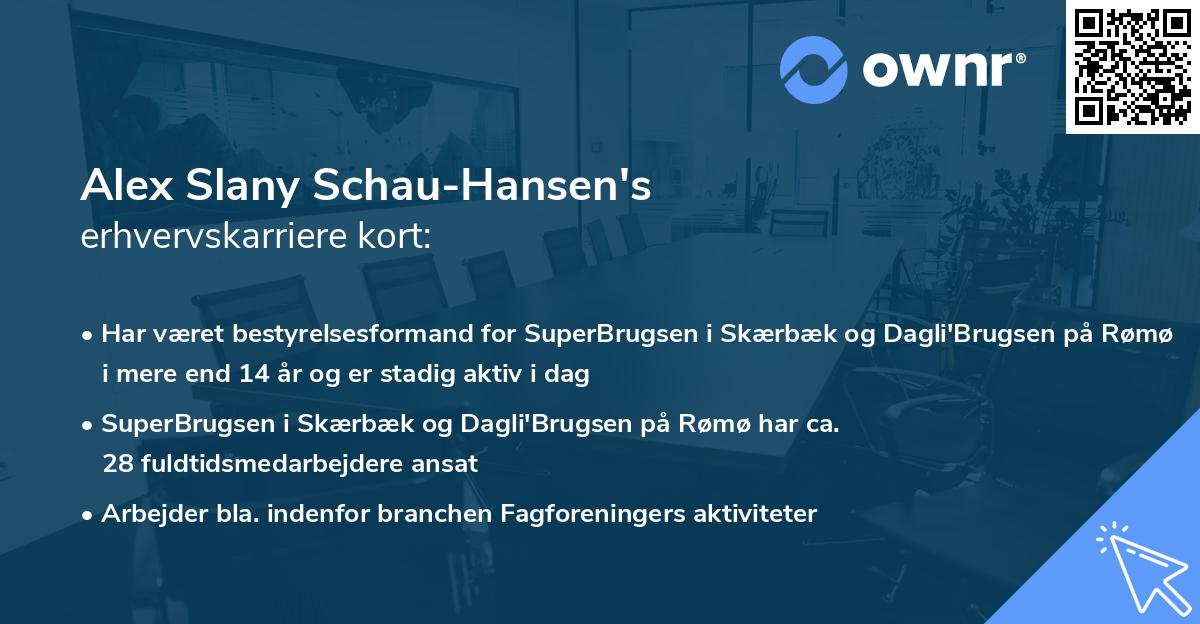 Alex Slany Schau-Hansen's erhvervskarriere kort