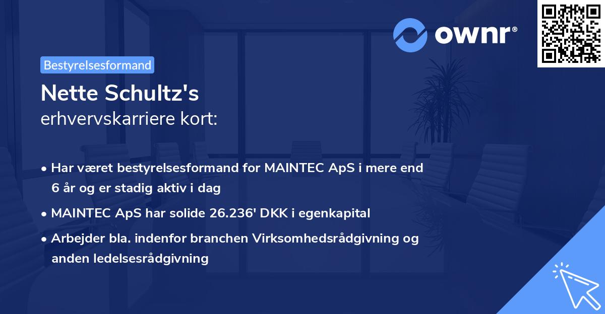 Nette Schultz's erhvervskarriere kort
